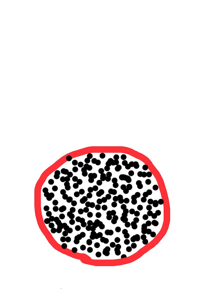 f:id:goumaji:20220806132015j:image