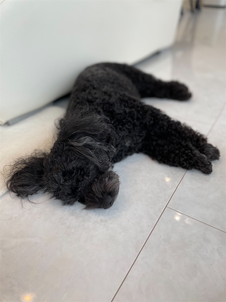 f:id:goumaji:20220927124627j:image