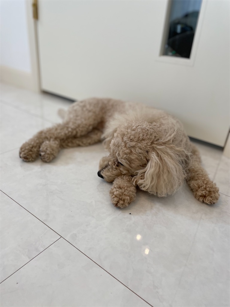 f:id:goumaji:20220927124632j:image