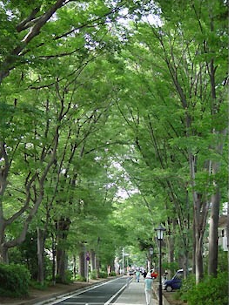 f:id:goumaji:20221005124325j:image