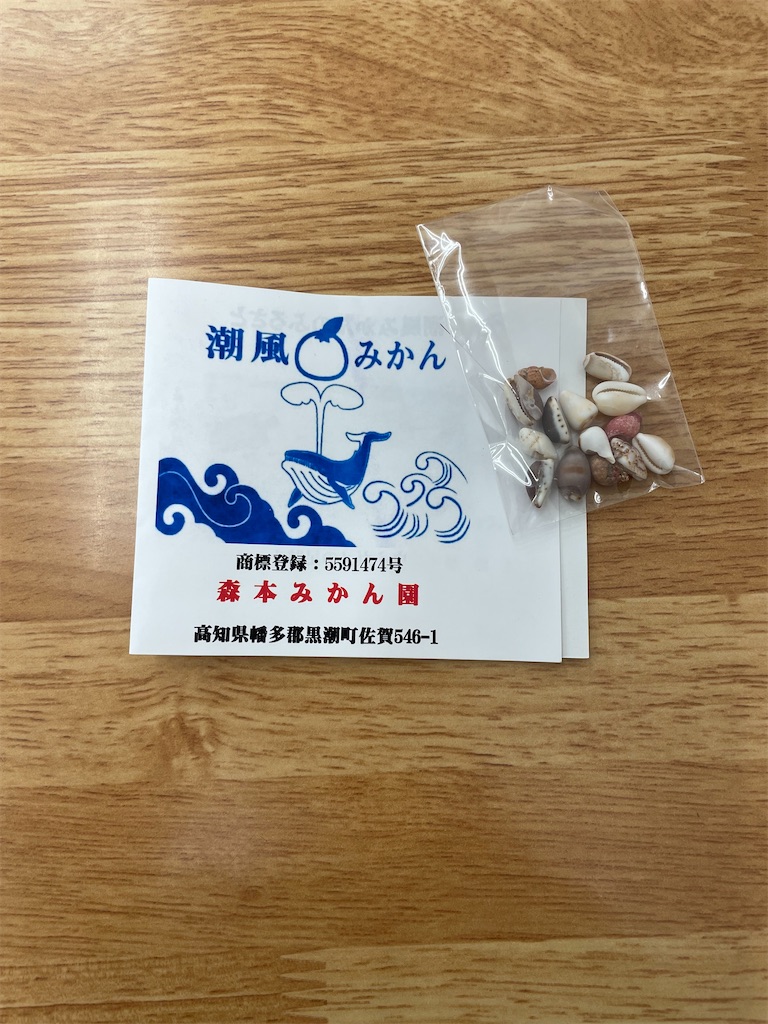 f:id:goumaji:20221130185118j:image f:id:goumaji:20221130185118j:image