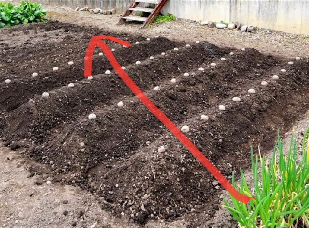 f:id:goumaji:20221207082901j:image f:id:goumaji:20221207082901j:image