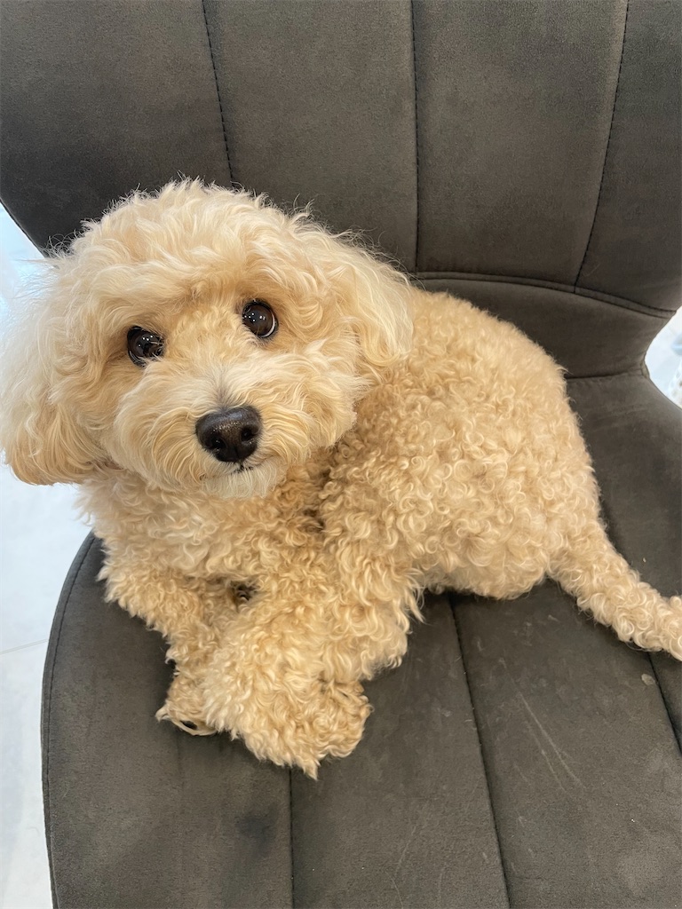 f:id:goumaji:20230115124321j:image f:id:goumaji:20230115124321j:image