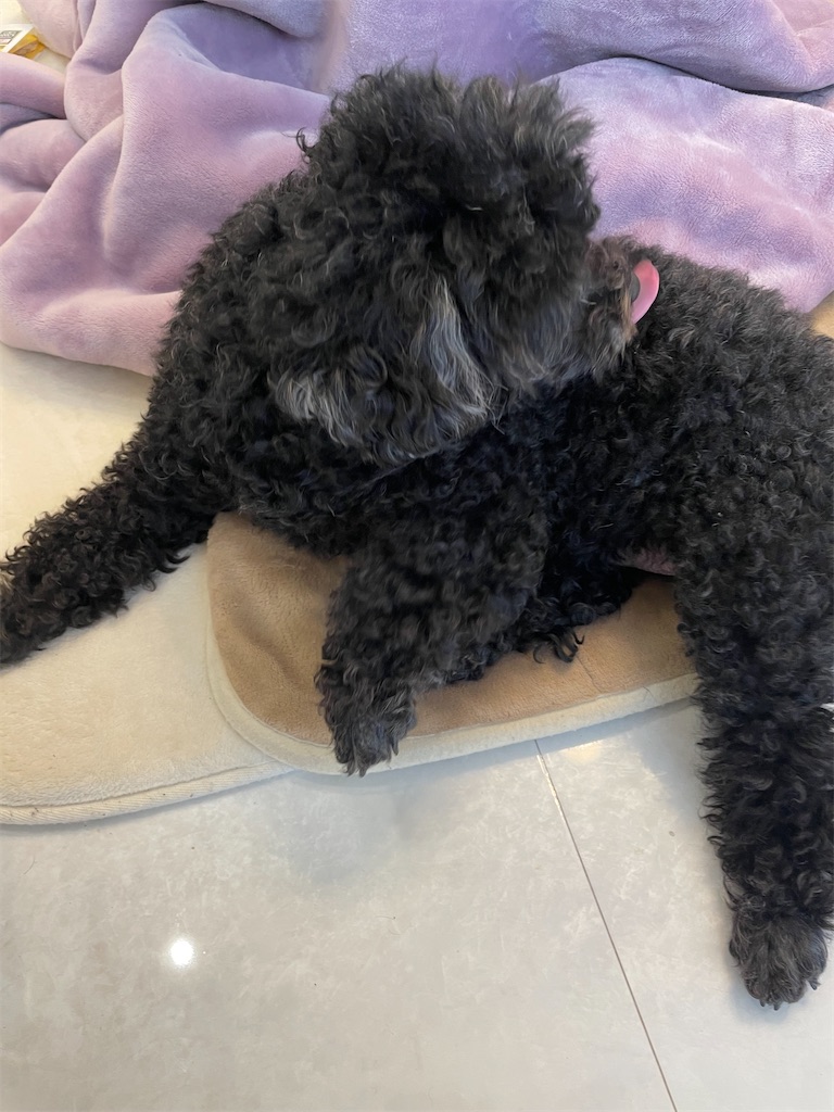 f:id:goumaji:20230115124325j:image f:id:goumaji:20230115124325j:image