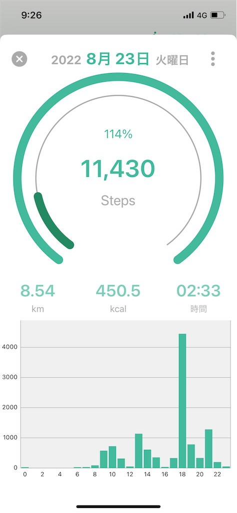 f:id:goumaji:20230703092653p:image