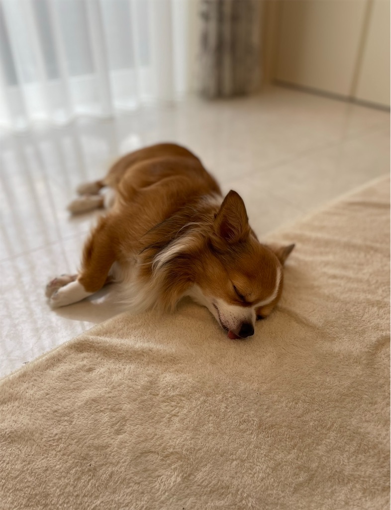 f:id:goumaji:20231011075603j:image f:id:goumaji:20231011075603j:image