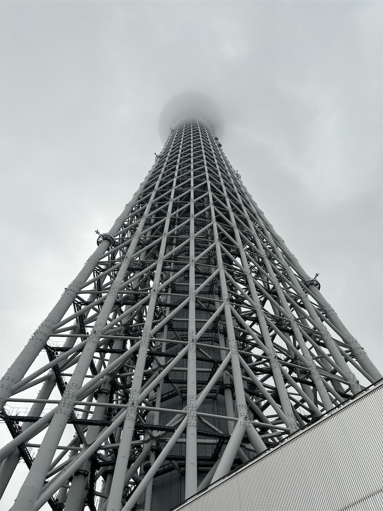 f:id:goumaji:20231126171035j:image