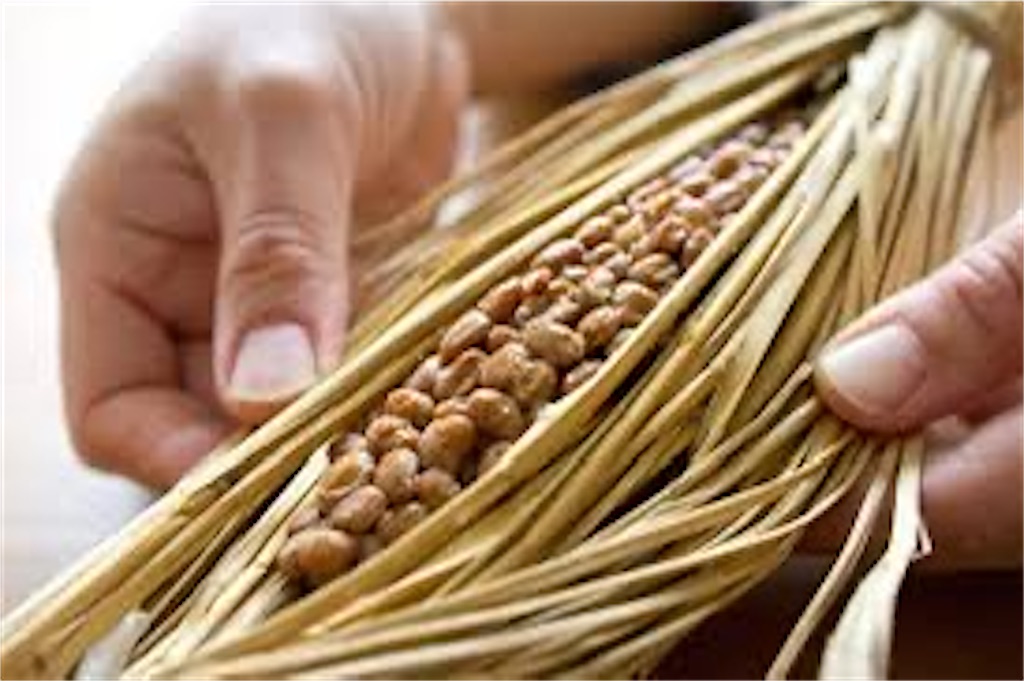 f:id:goumaji:20240219085021j:image