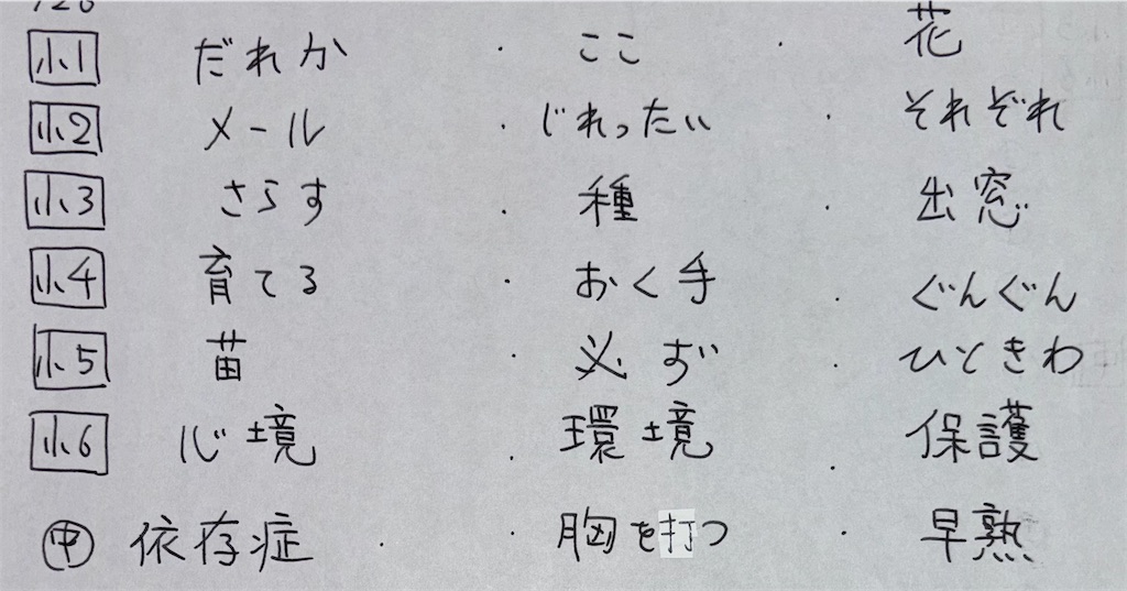 f:id:goumaji:20240626105411j:image