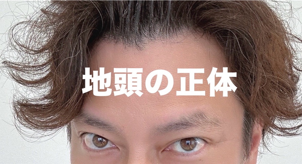 f:id:goumaji:20240908120457j:image f:id:goumaji:20240908120457j:image