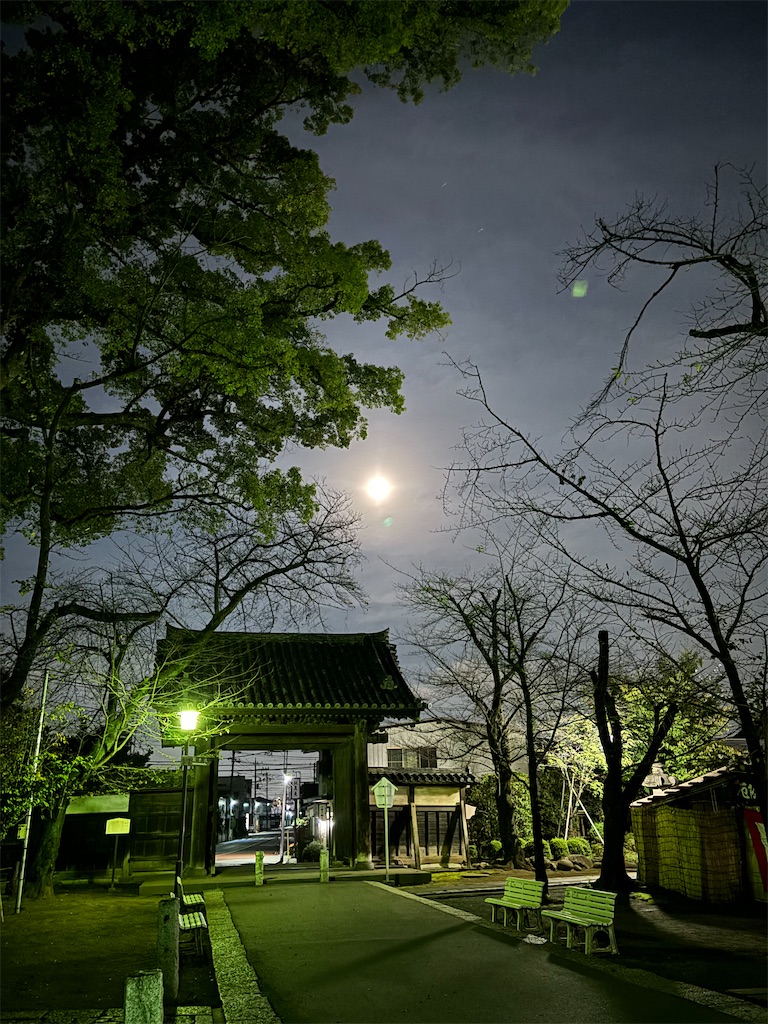 f:id:goumaji:20241017185140j:image