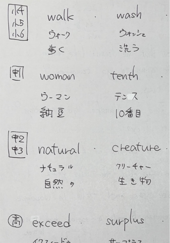 f:id:goumaji:20241213171818j:image