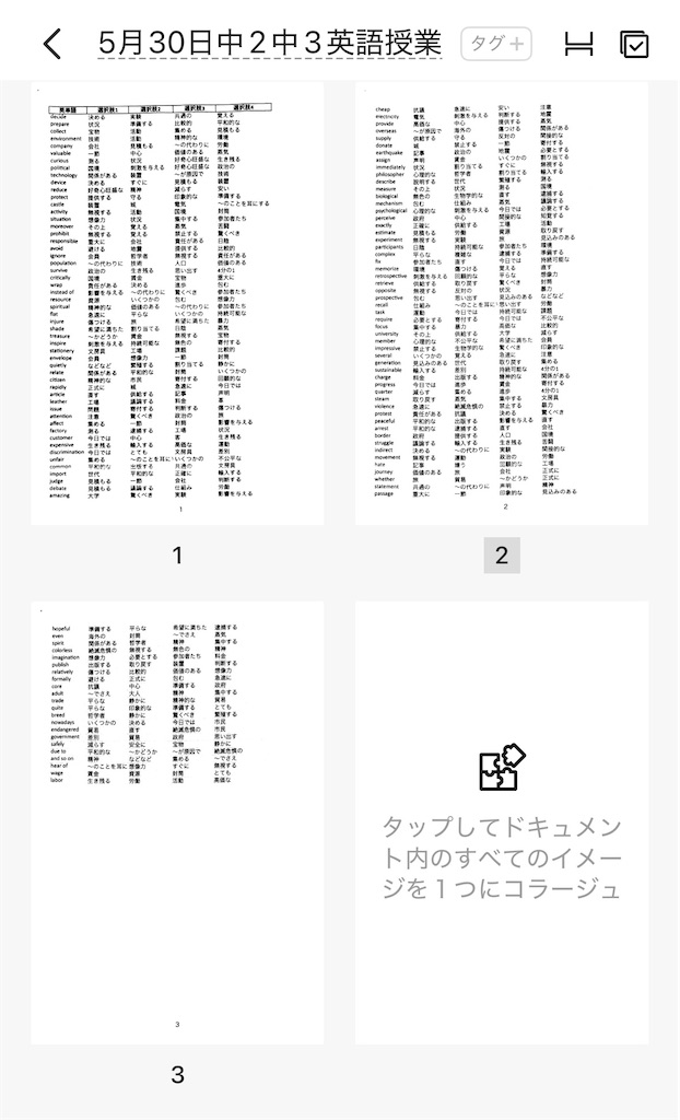 f:id:goumaji:20250531072505j:image