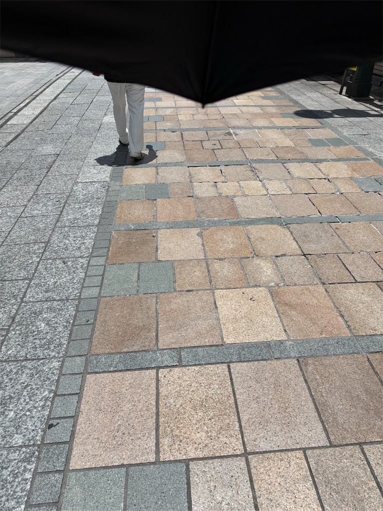 f:id:goumaji:20250623115302j:image