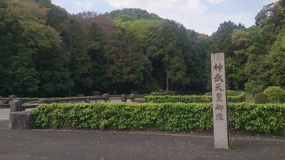 イメージ 8