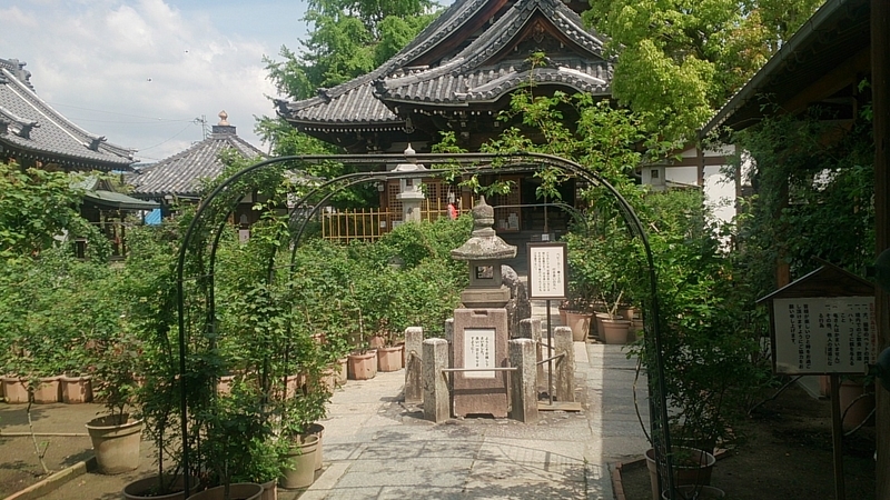イメージ 3