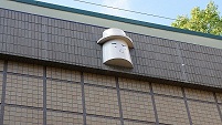 イメージ 8