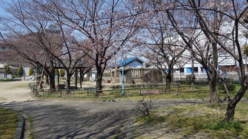 イメージ 3