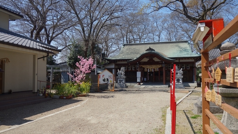 イメージ 5