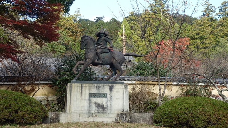 イメージ 7