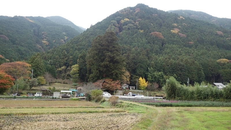 イメージ 5