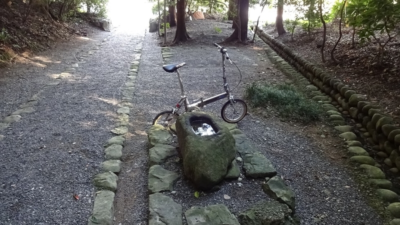 イメージ 6