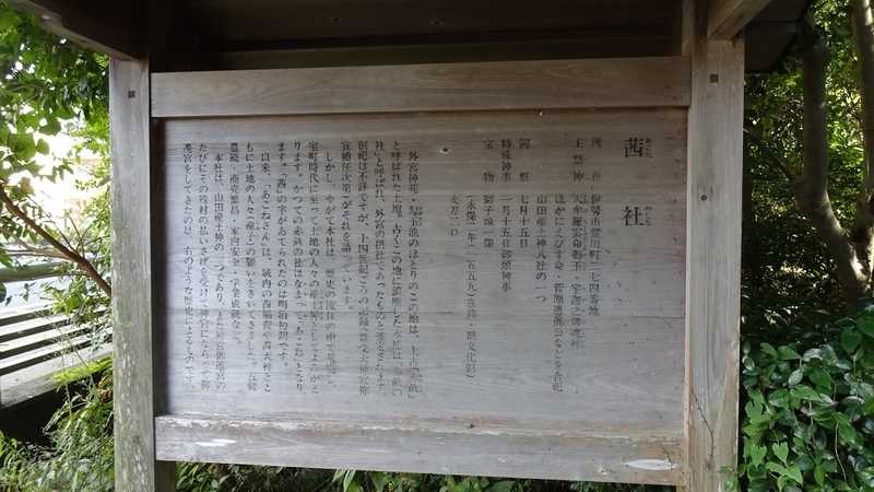 イメージ 7