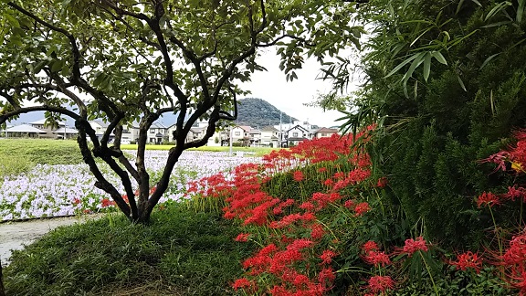 イメージ 2