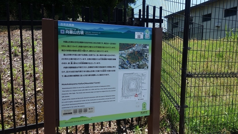 イメージ 6