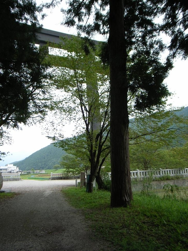 イメージ 3