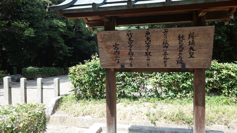 イメージ 10