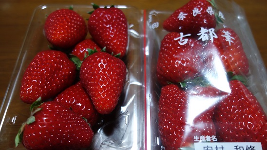 イメージ 3