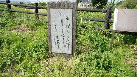 イメージ 9
