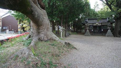 イメージ 15