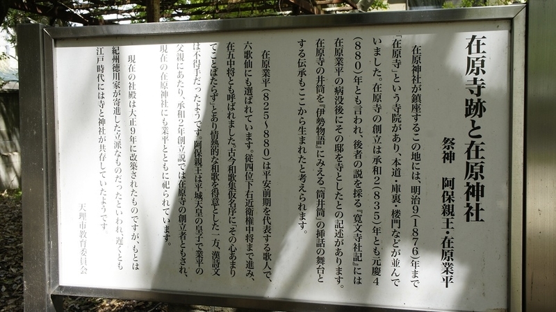 イメージ 6
