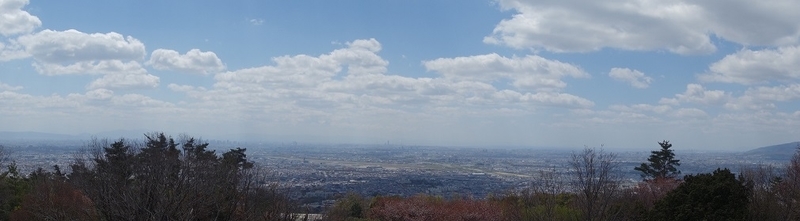 イメージ 6
