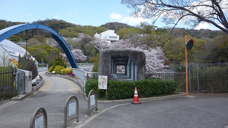 イメージ 7