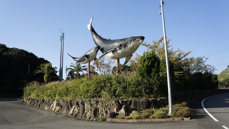 イメージ 9