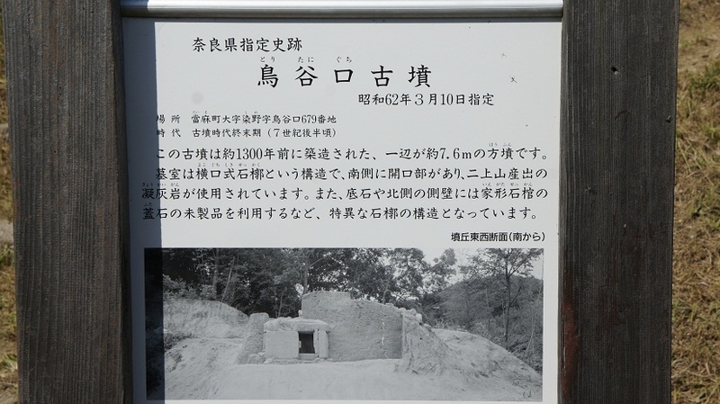 イメージ 4
