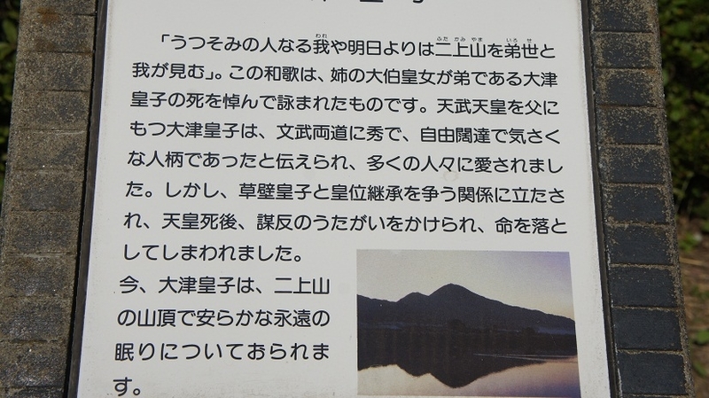 イメージ 6