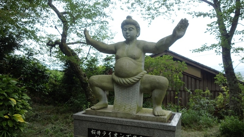 イメージ 17