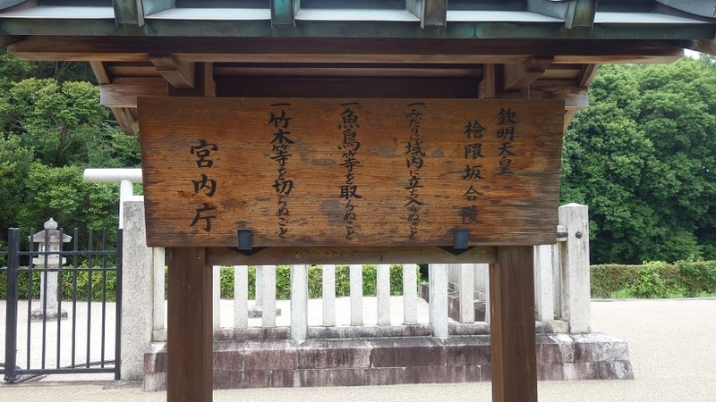 イメージ 10