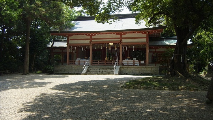 イメージ 6