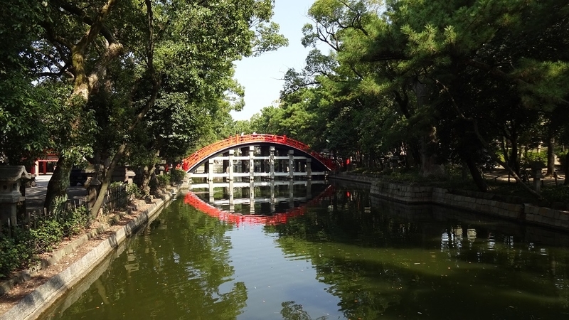 イメージ 6