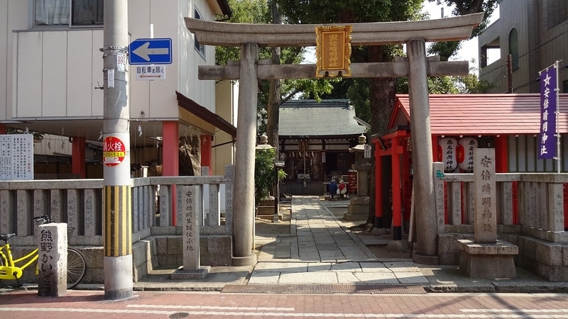 イメージ 8