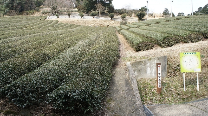 イメージ 2