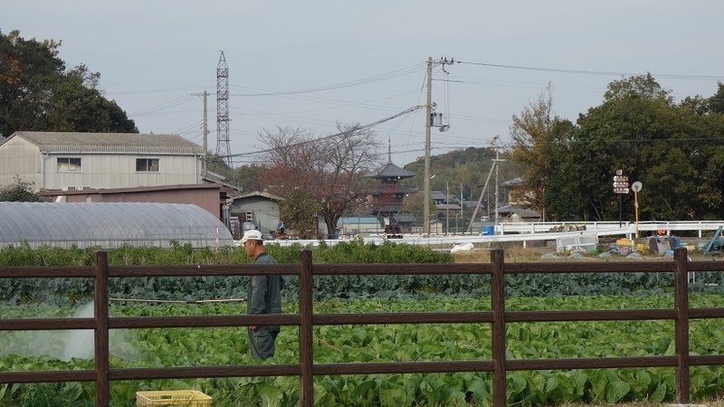 イメージ 5