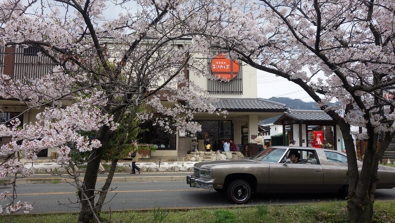 イメージ 3