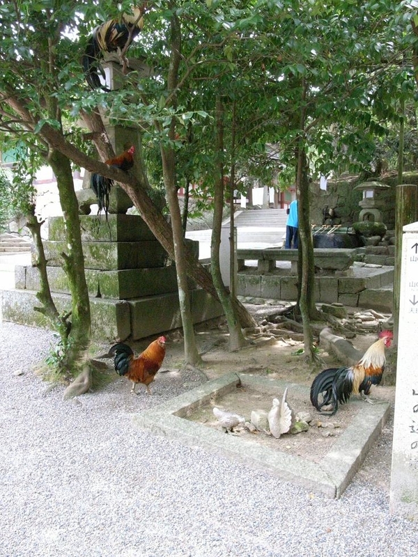イメージ 3
