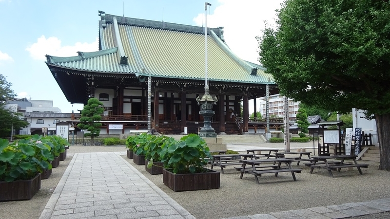 イメージ 6